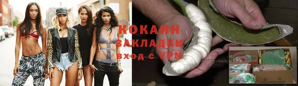 гидра Абаза