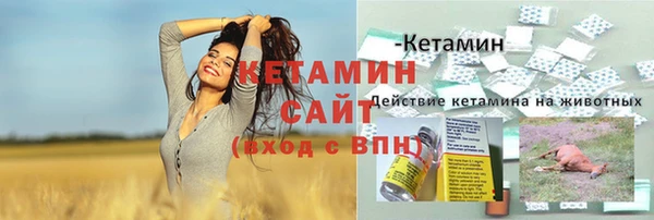мдпв Каменка