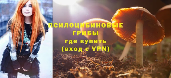 не бодяженный Иннополис